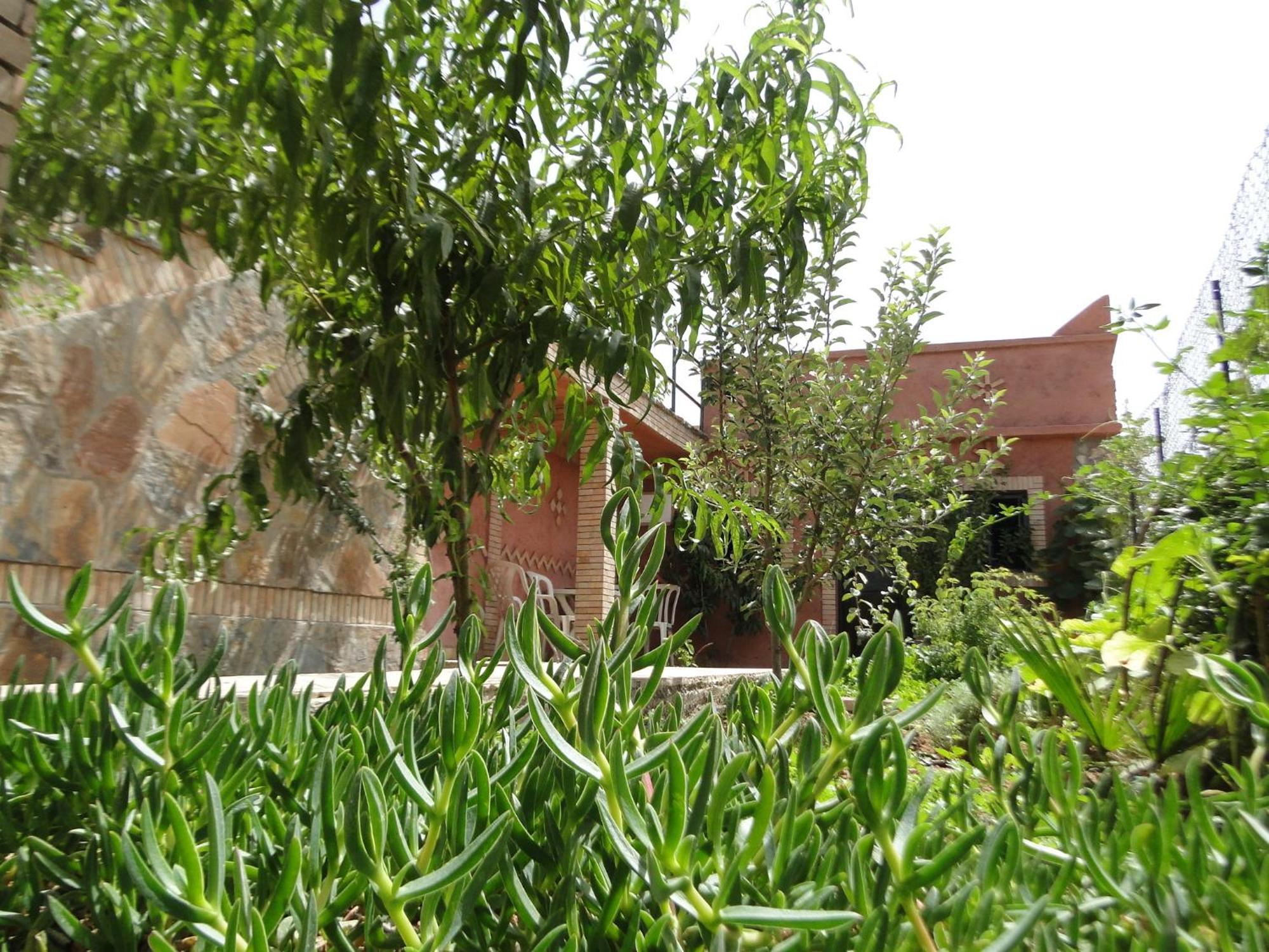 Riad Aslda أسني المظهر الخارجي الصورة